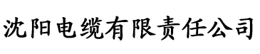 香蕉成人啪国产精品视频综合网电缆厂logo